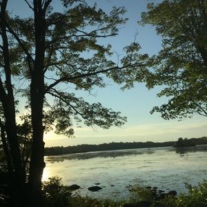 Meet your Posher, Sofia